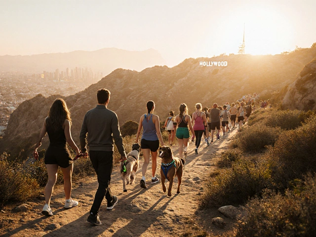 Why is Runyon Canyon so popular?