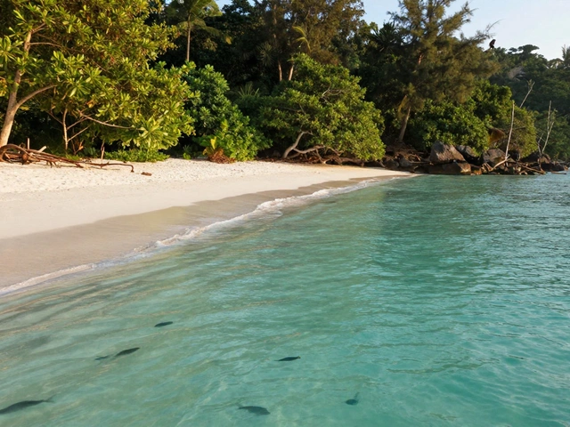 Where is the best place for a beach vacation in India?