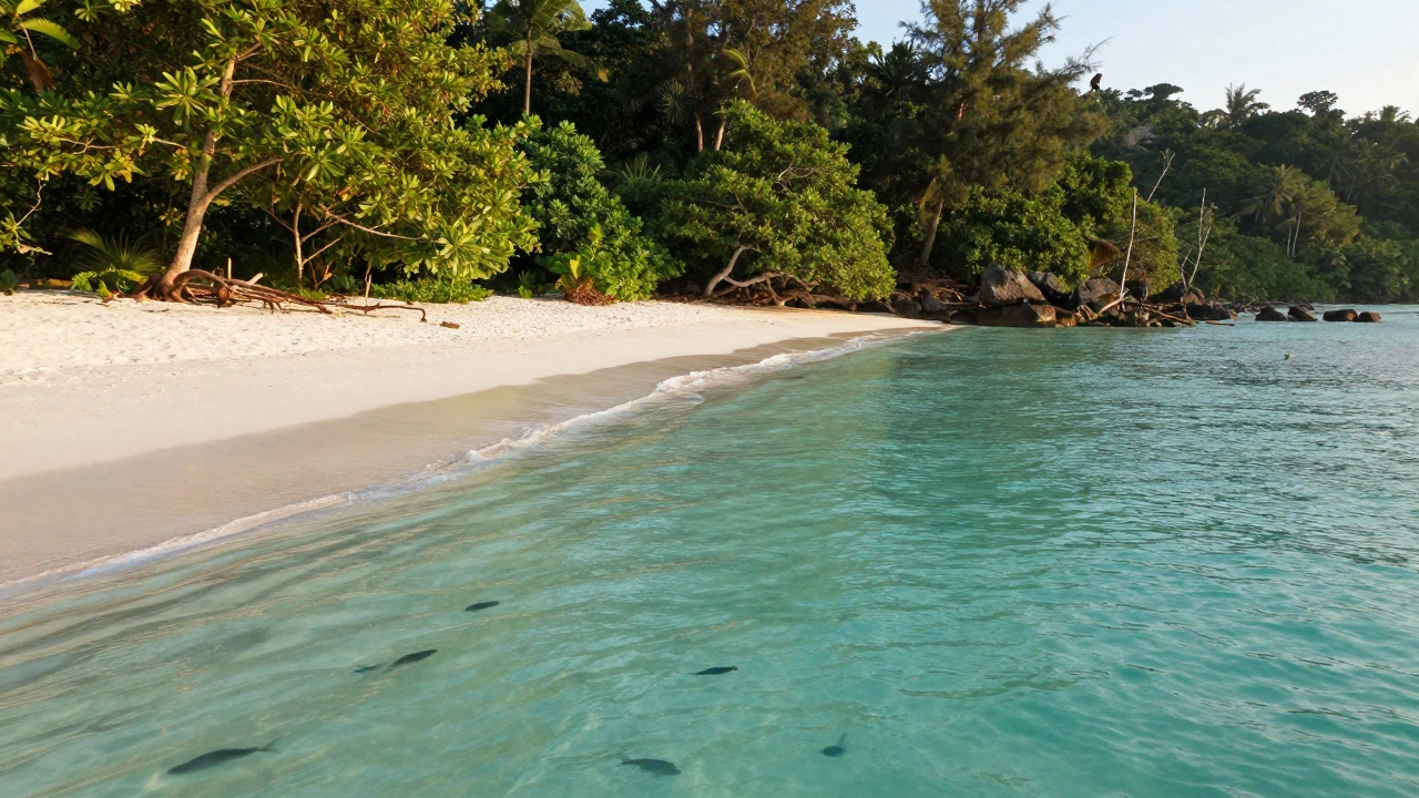 Where is the best place for a beach vacation in India?